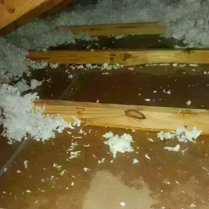 Attic Water Damage in Lone Pine, CA